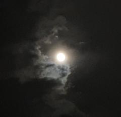 �������Ƃ����ς��A����܂��悤�ɁI�̃T���l�C���摜