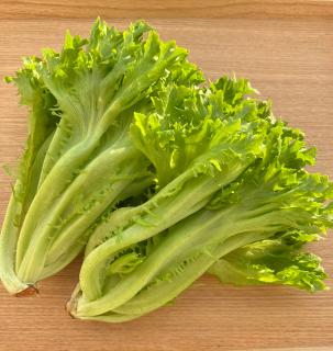 �_�̓��A�v�����̐��Ȃ郌�^�X�l�̃T���l�C���摜