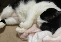 �݂�Ȃ��K���ɏo����}�}�ɂȂ肽���ȁ��̃T���l�C���摜