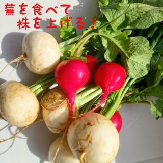 ���������H�ׂĉ��N��S���I�̃T���l�C���摜
