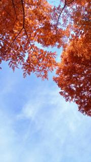 �x�{�ŉ^�C���グ��^�C�~���O�I�̃T���l�C���摜