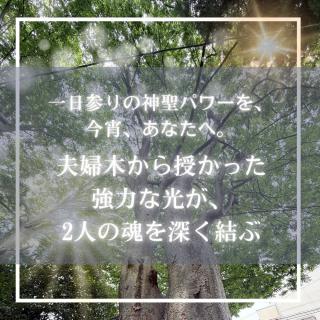 �s���������I�v�w�؂̃p���[�ŗ������A�̃T���l�C���摜