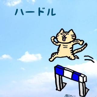 �n�[�h���͒Ⴍ�Ă��傤�ǂ����̃T���l�C���摜