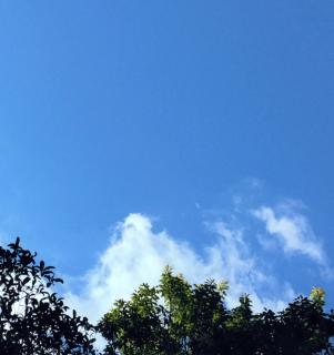 20240911�㌷�̌�����]�̌��f�̃T���l�C���摜