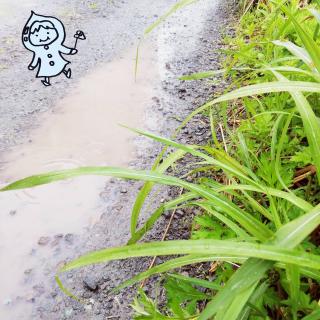 ���܂��s���Ȃ����́u�C�Â��`�����X�v�̃T���l�C���摜