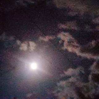 �������̃X�s���`���A���T�C�����̃T���l�C���摜