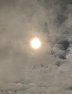 �X�[�p�[�t�����[�u���b�h���[���̃T���l�C���摜