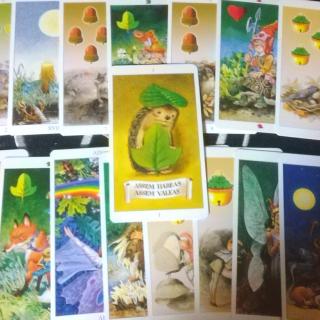 ���킢���^���b�g�J�[�h�I�̃T���l�C���摜