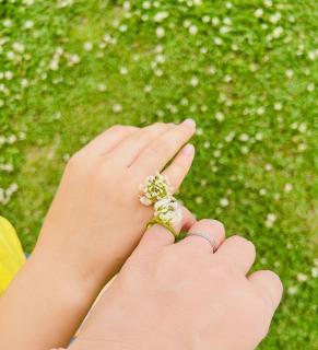 �K���Ɩ񑩂̃T���l�C���摜