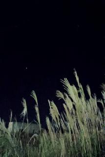 442�N�Ԃ�I�u�F�����H�{�V�����H�v�̃T���l�C���摜