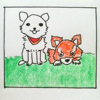 �U�����Ă܂����H�t�����܂�����[�̃T���l�C���摜