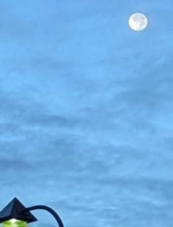 �������Ȃ񂾂̃T���l�C���摜