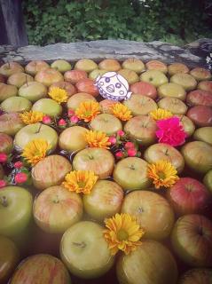 �ڕW���߂遨�肢��������̃T���l�C���摜