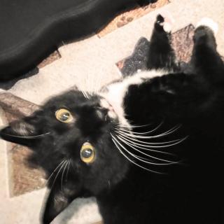 ����h���Ԃ�̂́c�̃T���l�C���摜