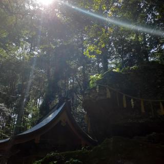 �_���̃T���l�C���摜