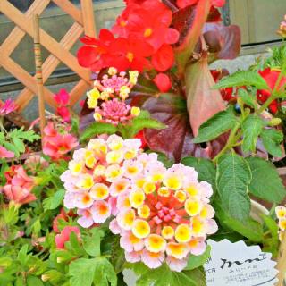 ��Âɍl�����B�W���ŕ������B�̃T���l�C���摜