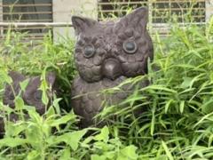 �O���[�v���猻���H6.2���̂̃T���l�C���摜