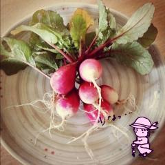 ��\���卪���ꁨ���ʎl�\���̃T���l�C���摜