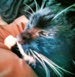 �f������Ȃ��̂́c�̃T���l�C���摜