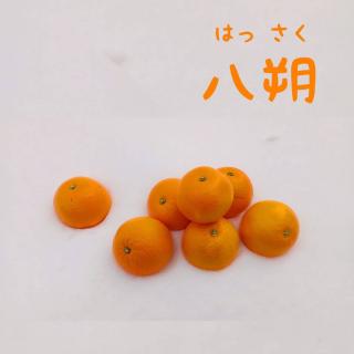 �m���Ă��H�͂������̈ӊO�ȗR���̃T���l�C���摜