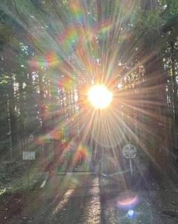 �f�G�Ȍ��t�̃v���[���g�B�̃T���l�C���摜