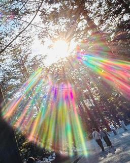 �p���������[���h�̃T���l�C���摜