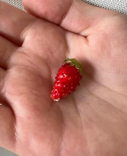 �����d�b�������������ւ̃T���l�C���摜