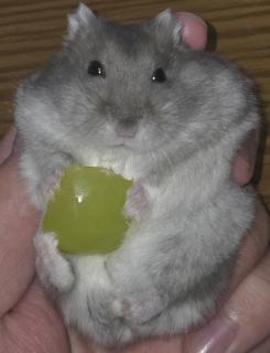 �X��15���@�����^�̃T���l�C���摜