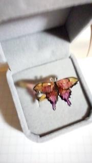 �l�̉��̃T���l�C���摜