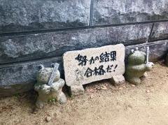 �󌱂̃T���l�C���摜