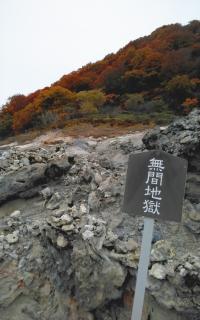 ���R�}�W�������C�^�R����҂̃T���l�C���摜