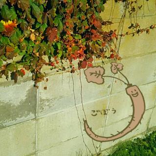 ���J�^�̂��ڂ� �O�ցO�̃T���l�C���摜