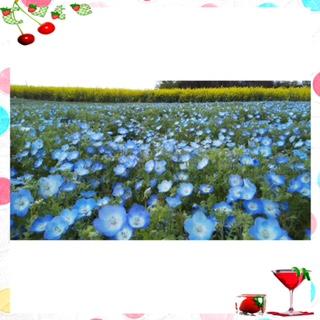 ���ǃX���[�ɂȂ��Ă܂��A�A�̃T���l�C���摜