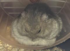 �X��25���@�����^�̃T���l�C���摜