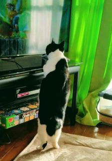 �L���L������1�����̃T���l�C���摜