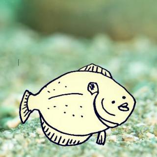 �������ϋ��̃T���l�C���摜