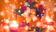 �����������������肪�Ƃ��������܂��̃T���l�C���摜