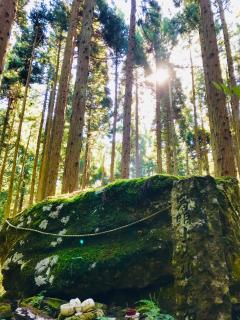 �_��I�ȗ�΁w�剏�΁x�̃T���l�C���摜