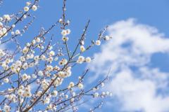 1/17����́u�~�y�p�v�̉߂������̃T���l�C���摜