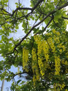 ���^�o���オ��A�u��v�̃T���l�C���摜