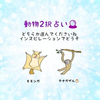 ����2��肢�I�A�h�o�C�X���ǂ������̃T���l�C���摜