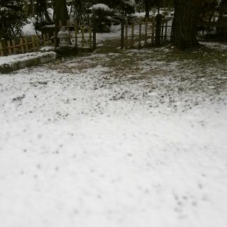 ��̎v���o�̃T���l�C���摜