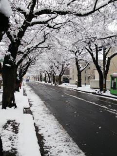 ���A����̉؂̃T���l�C���摜