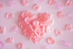 �g�����h�������񂹂鏗���ɂȂ邽�߂ɂ̃T���l�C���摜