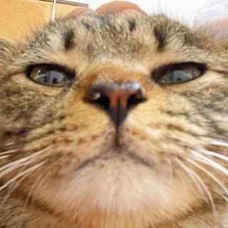 Nŏ̖̓Et[ĨTlC摜