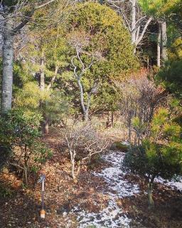 �����̎����ւ̃��b�Z�[�W�̃T���l�C���摜