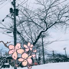 �����ɍ炭��̉Ԃ̃T���l�C���摜