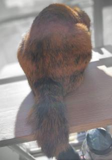 2024�N12���̃T���l�C���摜