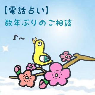 【電話占い】数年ぶりのご相談のサムネイル画像