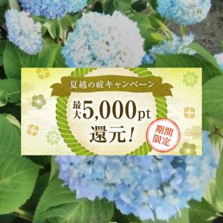 �y�ĉz���P�z��������̉��������K���ɂ̃T���l�C���摜